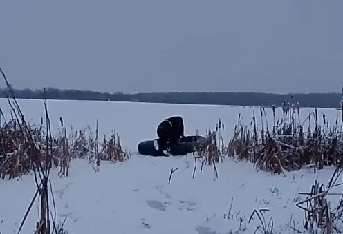 В Прикамье пожарные спасли вмерзающую в лед семью лебедей