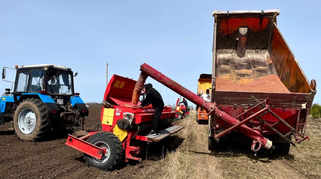 В этом году посевные площади в Прикамье увеличат на две тысячи гектар