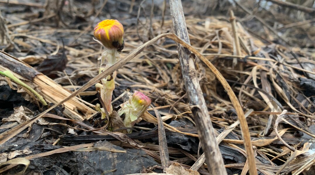 Тепло вернется в Пермский край лишь после 16 мая
