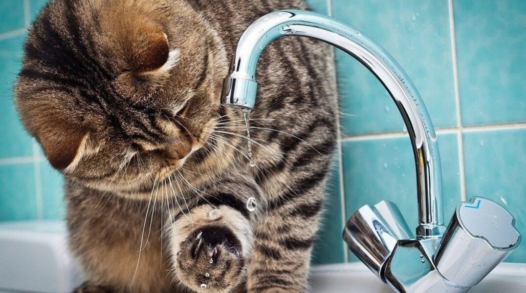 На неделе три района Перми останутся без воды