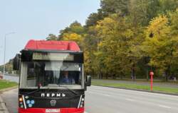 автобус 80