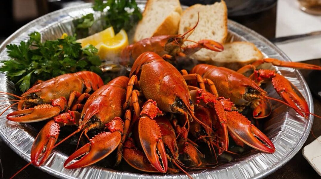 Раковарню с аквариумами выставили на продажу в Перми 