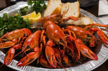 Раковарню с аквариумами выставили на продажу в Перми 