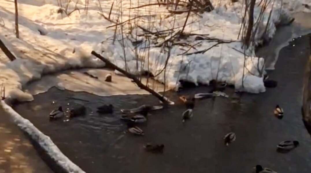 В Перми долины малых рек будет патрулировать частная охрана