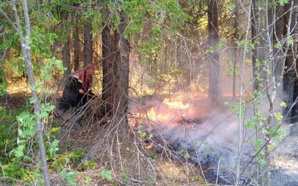 Власти Прикамья утвердили сроки начала пожароопасных периодов