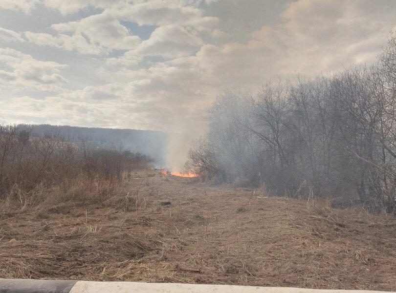 В Прикамье за последние сутки произошло 17 ландшафтных пожаров