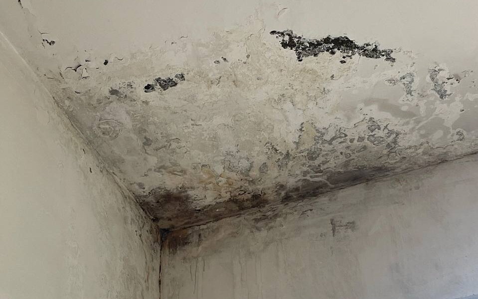 В Прикамье в детской больнице обнаружили плесень на стенах и насекомых в палатах и кухне