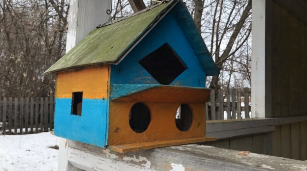 Пермякам рассказали, чем нельзя подкармливать птиц зимой