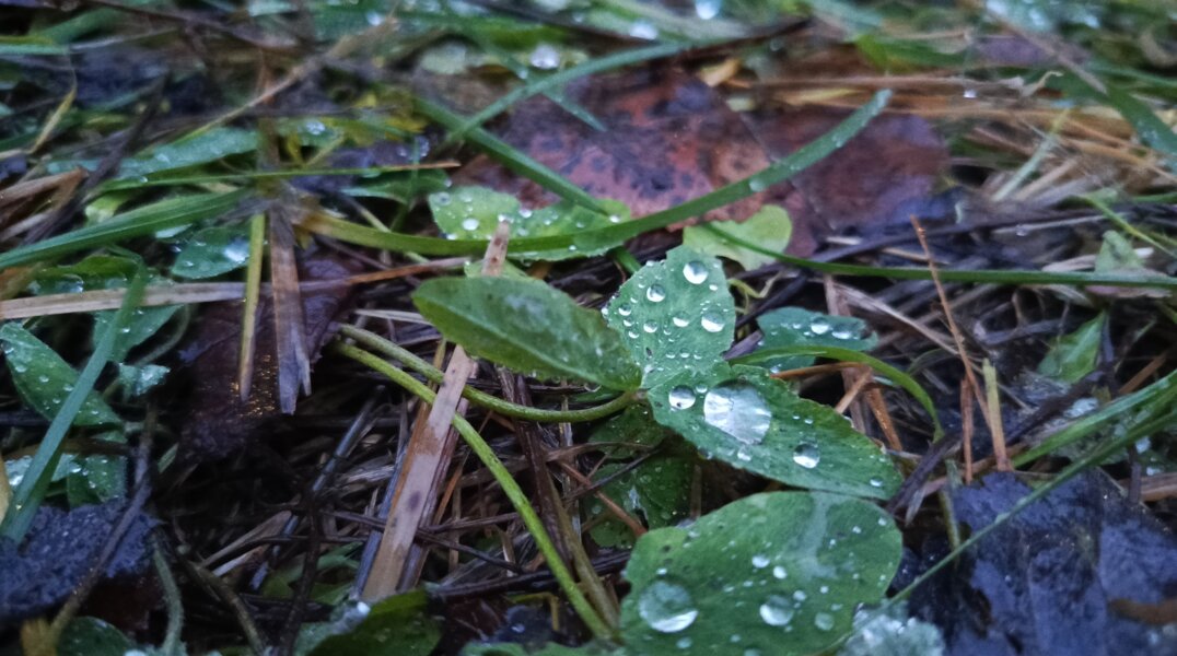 В Перми зафиксировали рекордные показатели потепления