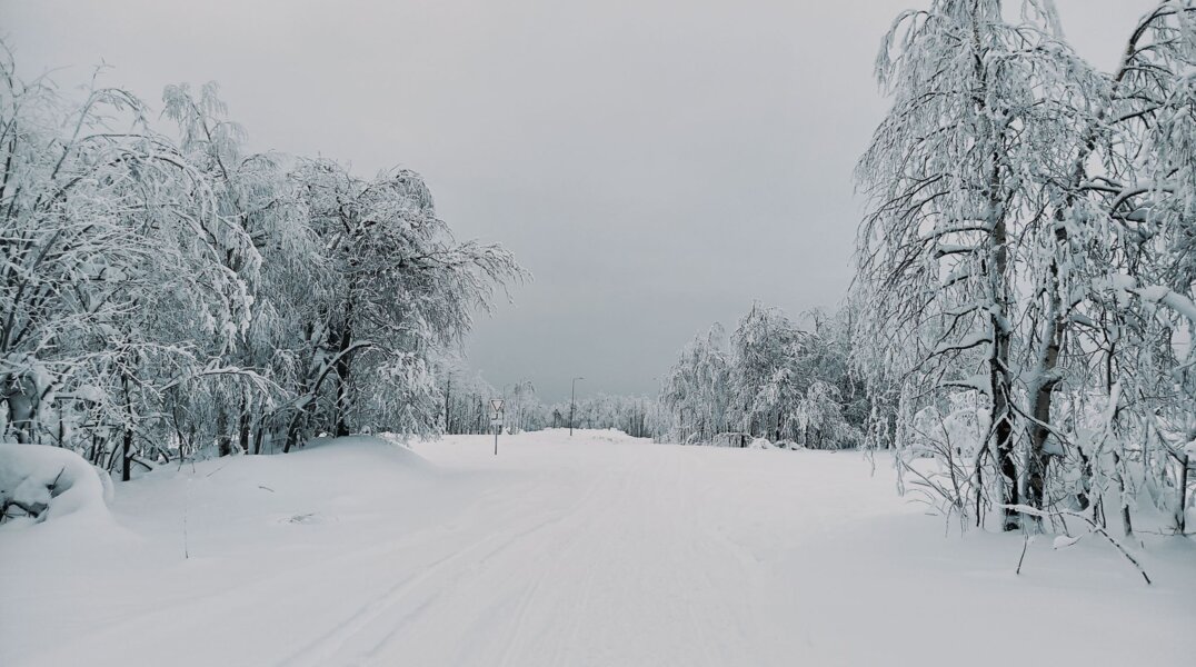В Прикамье 27 января прогнозируют сильные порывы ветра