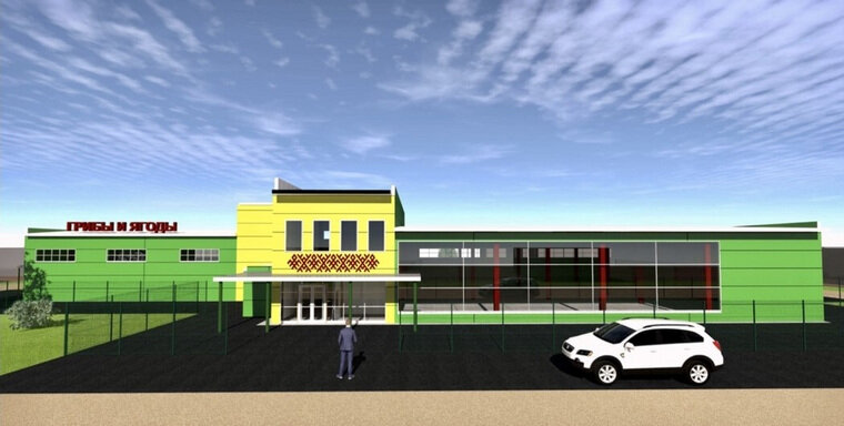 Пермский завод по переработке ягод и грибов обойдется в 130 млн рублей