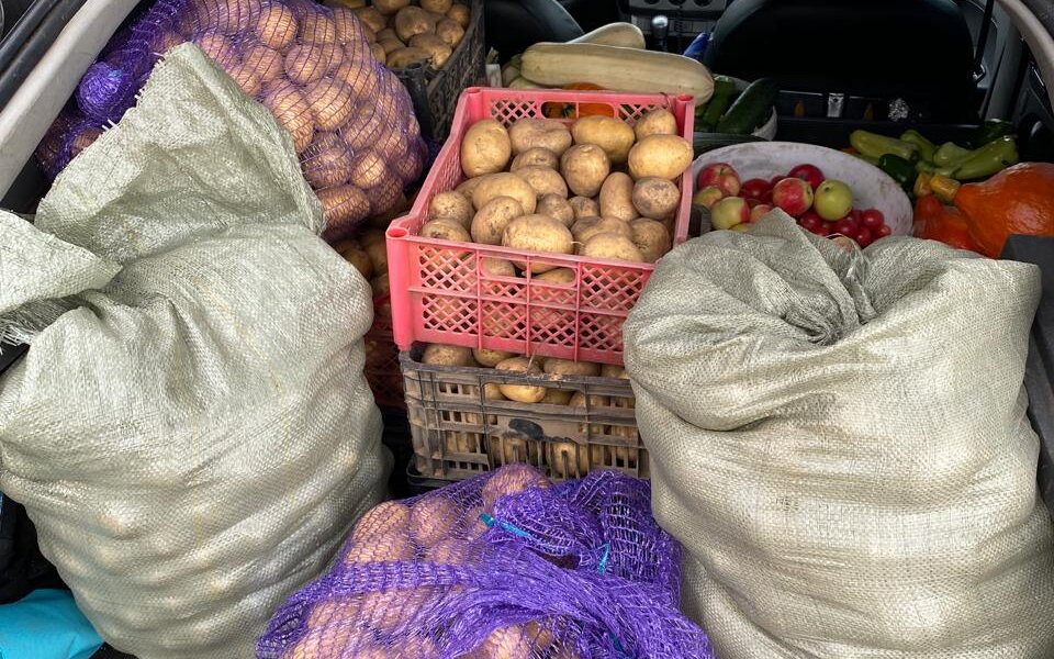 Пермский фермер из-за выгоды пытался обмануть краевые власти