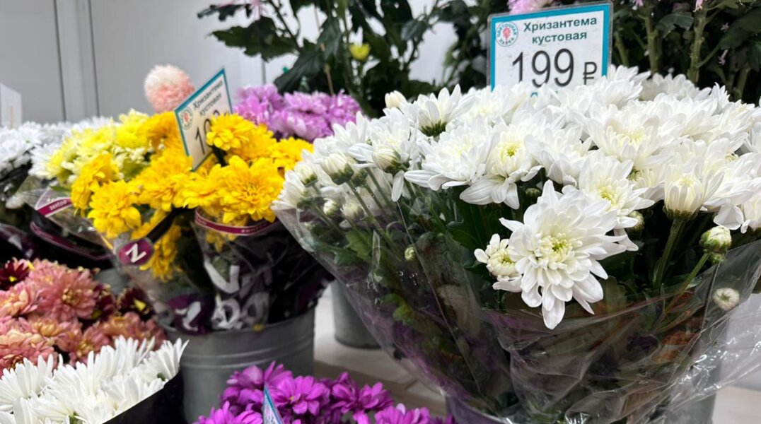 В Куеде мужчина ограбил друга, чтобы купить любимой веточку хризантемы