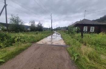 Кын