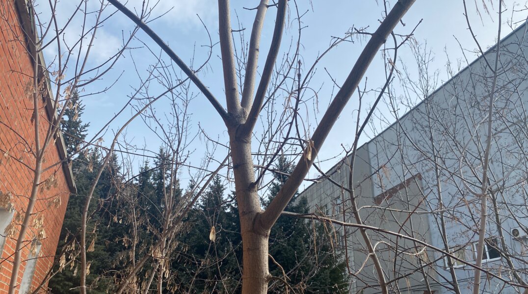 В Пермский край 2 апреля с воздушными массами пришла пыль из Северной Африки