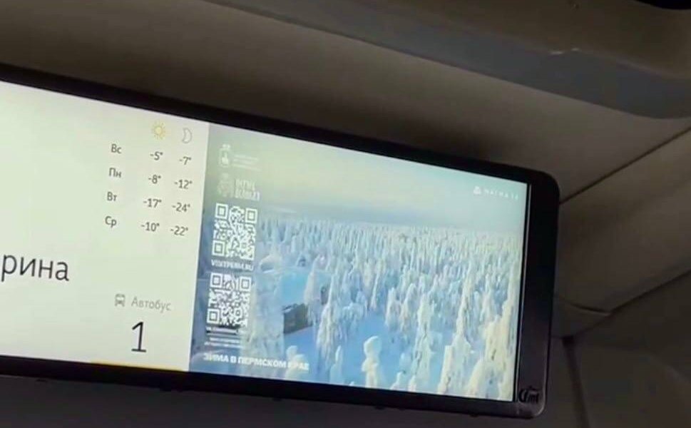 «Созерцай»: Ролики о красотах Пермского края собрали миллионы просмотров