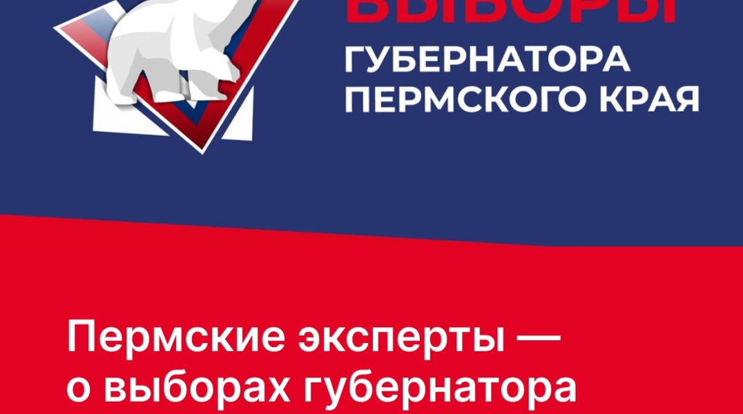 выборы