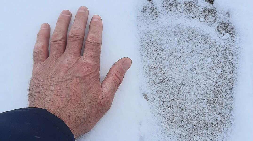 В Красновишерске заметили следы вышедших из спячки медведей