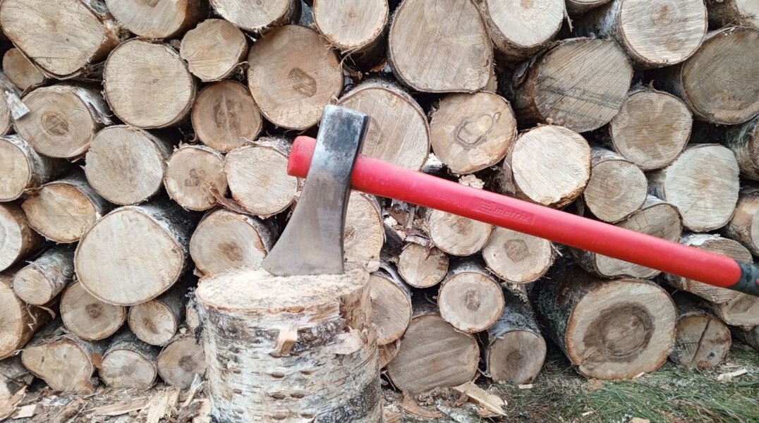 Прикамцу, зарубившему топором приятеля, дали 9 с половиной лет колонии