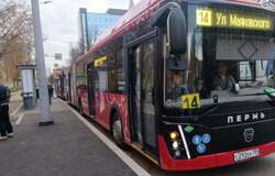 автобус, остановка, сочлененный автобус, гармошка