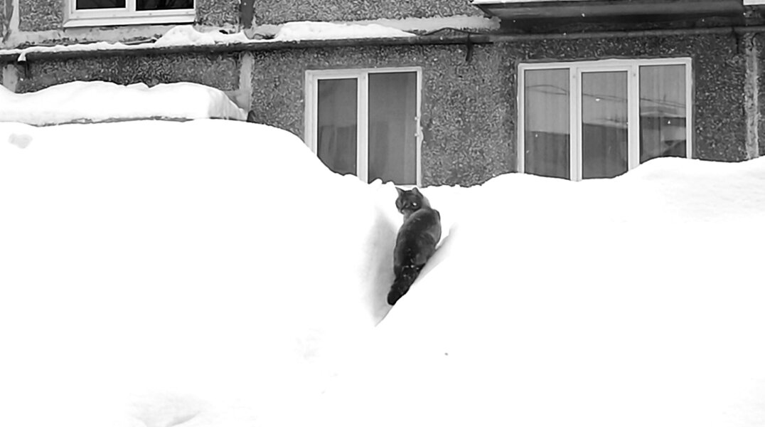 Высота снежного покрова в Прикамье приблизилась к историческому максимуму