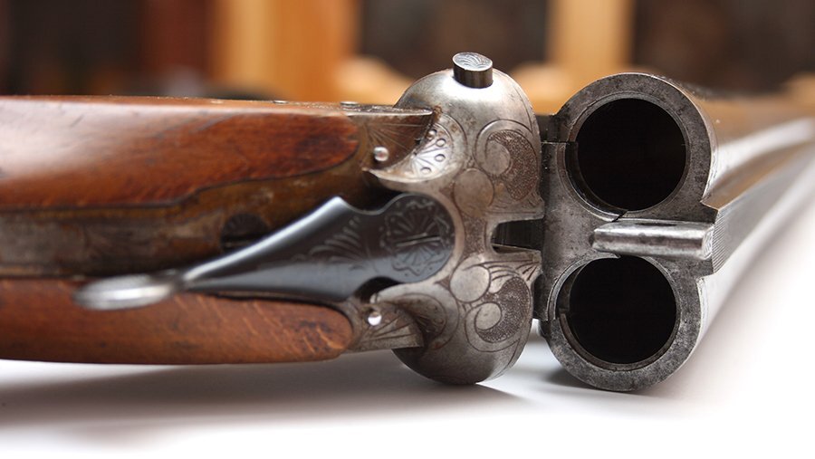 В Пермском крае оштрафовали мужчину, незаконно охотившегося на лося