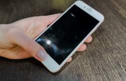 Прикамцы могут проверить подозрительные звонки в новом чат-боте МАХ