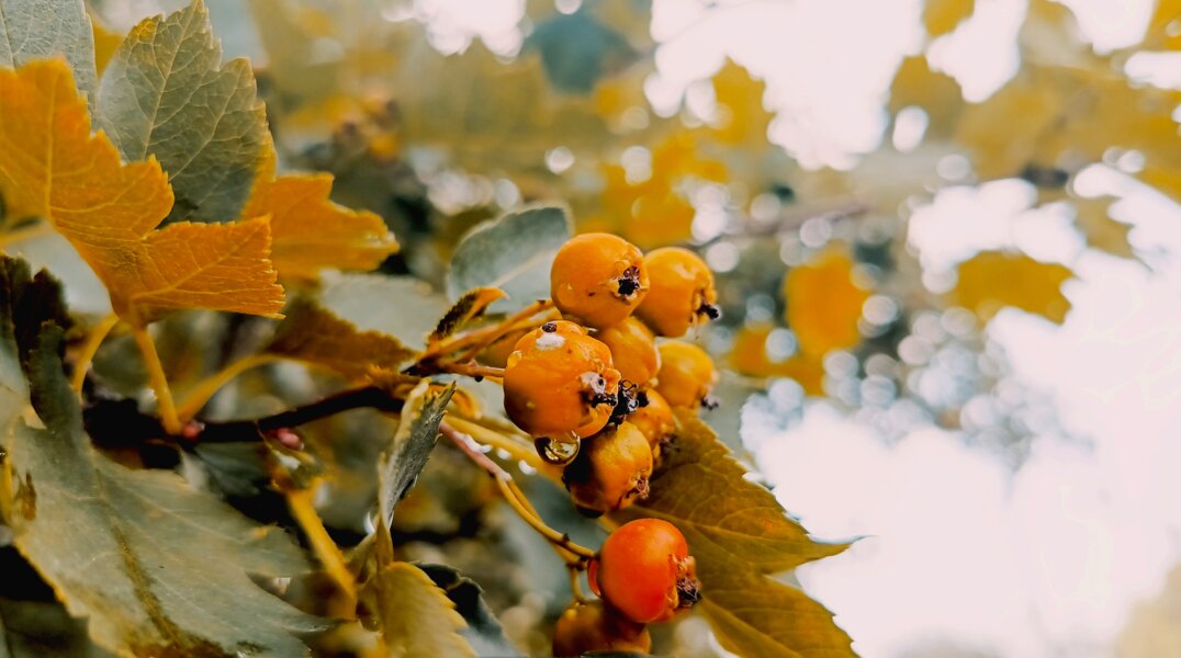 В Прикамье ожидается резкое ночное похолодание