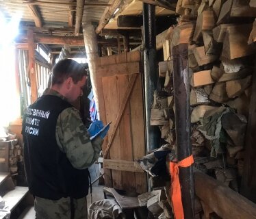 В пермском городе мужчина убил супругу поленом