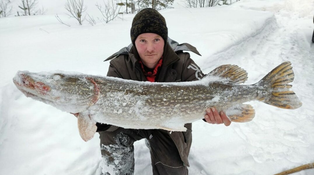 Житель Прикамья поймал гигантскую щуку