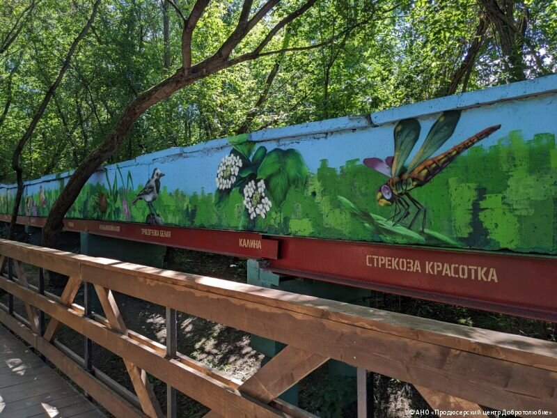 В долине пермской реки Данилихи появилось новое граффити