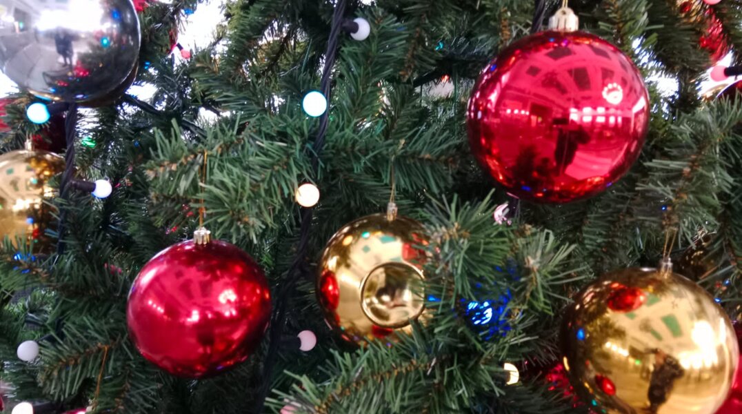 Главную экоелку России украсили игрушками юных пермяков