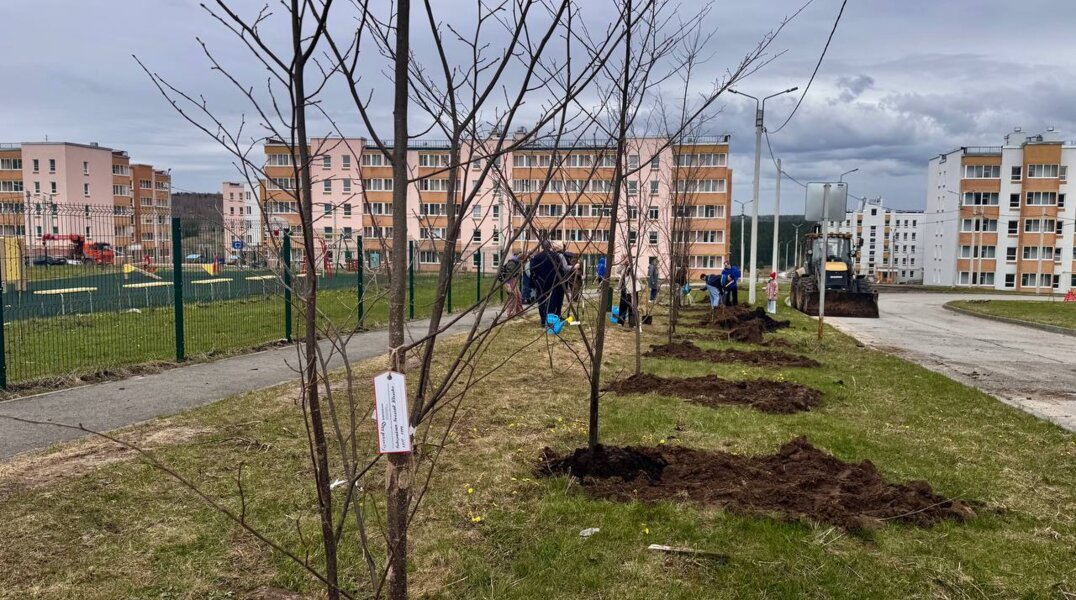В Березниках Пермского края заложили новую Аллею памяти