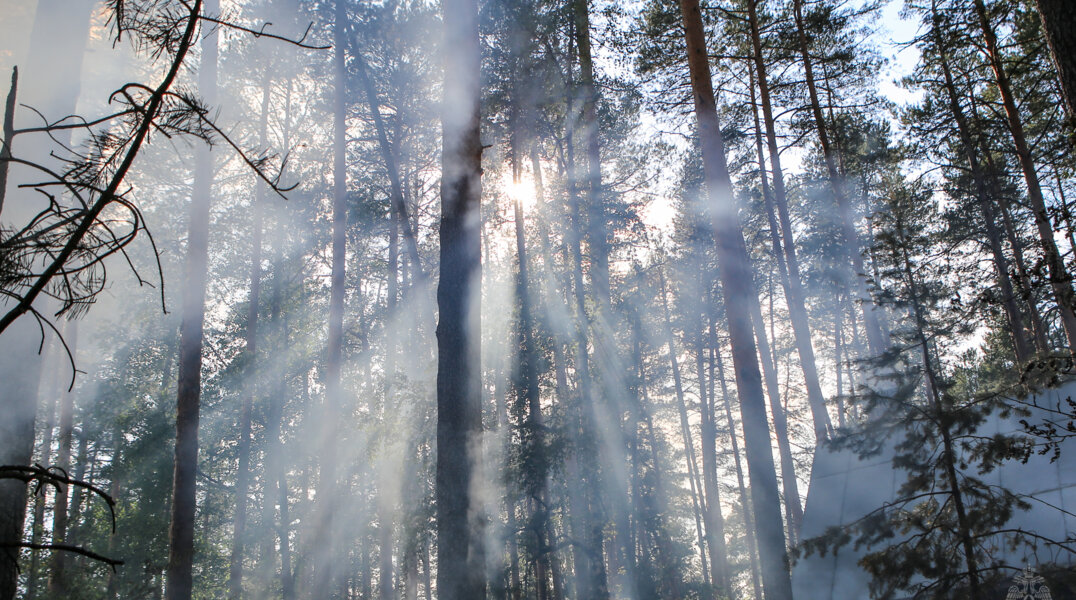 В Пермском крае с 24 по 27 июня ожидается повышенная пожароопасность