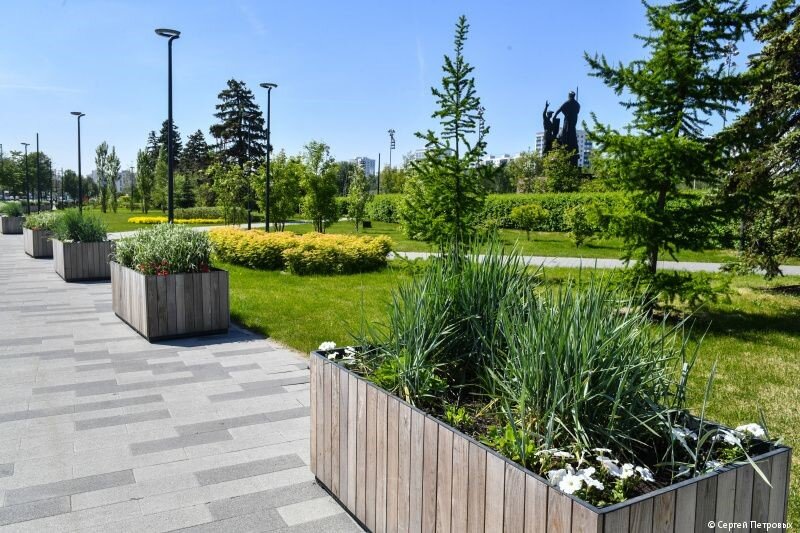 На улицах Перми вновь расставили кадки с деревьями, кустарниками и цветами