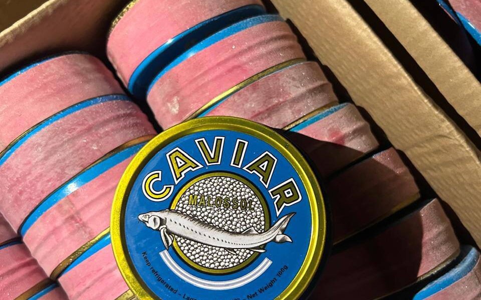 ФСБ пресекла нелегальный канал поставок черной икры в Перми