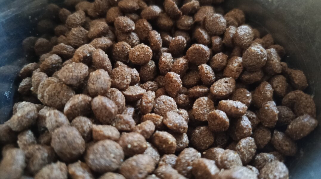 В Перми будут делать корм для животных на основе сырья местных производителей