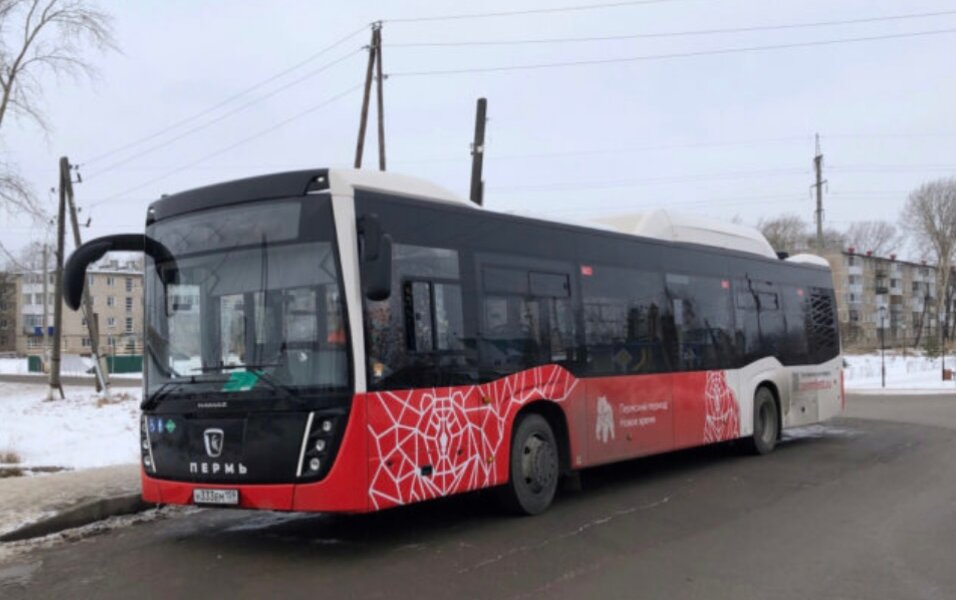 Пермские власти ищут подрядчика для обслуживания автобусных маршрутов под номерами 38 и 75