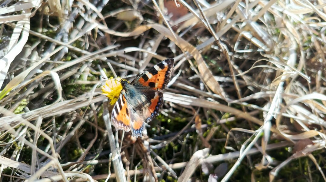За март температура в Прикамье изменилась на 50 градусов