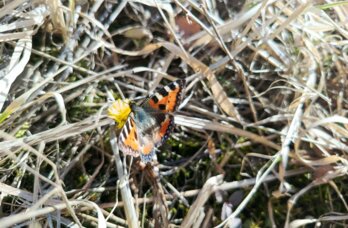 За март температура в Прикамье изменилась на 50 градусов