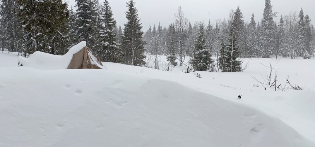 В Вишерском заповеднике за сутки выпало 25 сантиметров снега