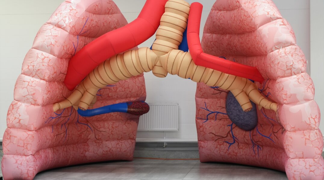 Медицина Прикамья — в вашем смартфоне