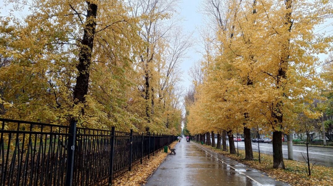 В Пермском крае впервые за осень зафиксировали температуру ниже -10 градусов