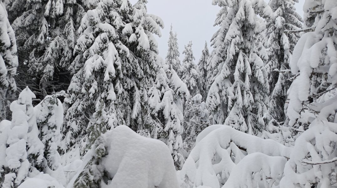 Создатель Пермской тропы рассказал, где могут быть пропавшие в районе Ослянки туристы