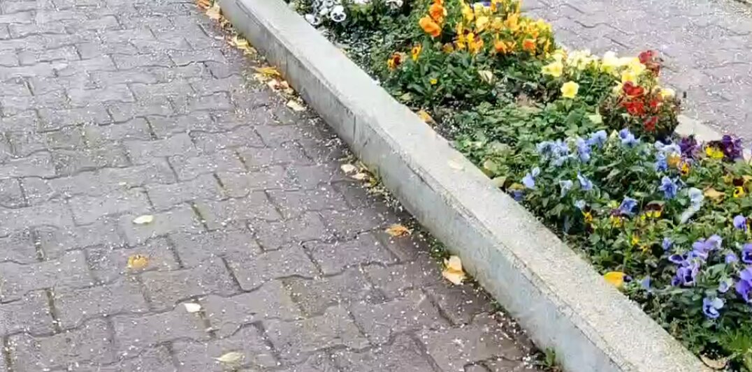 В Пермском крае 9 октября выпал первый снег