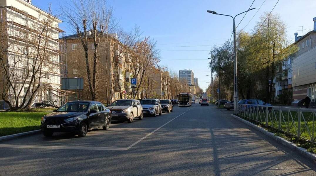 дорога леонова