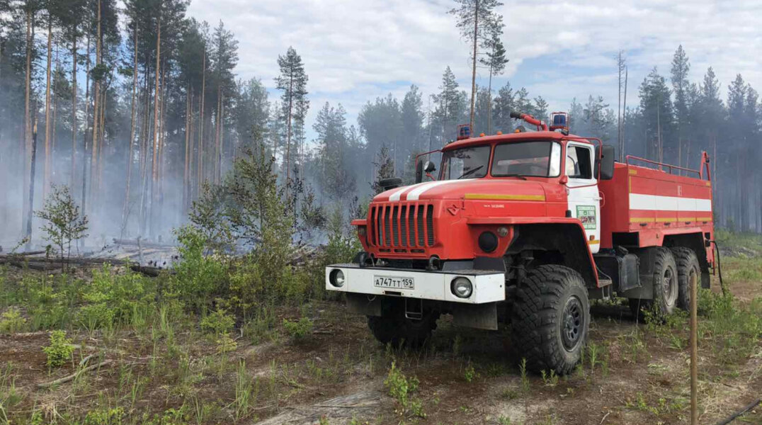 С начала 2023 года в Пермском крае сгорело более гектара леса