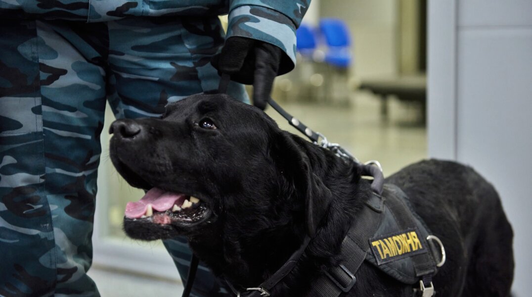 Пермячке грозит тюрьма за желание сэкономить на растаможке элитной иномарки