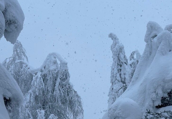 В четверг Пермский край накроют снегопады
