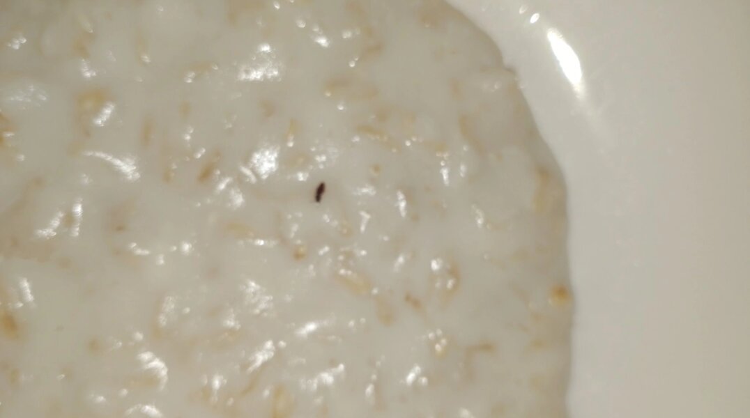 В одной из школ Прикамья в каше нашли букашек